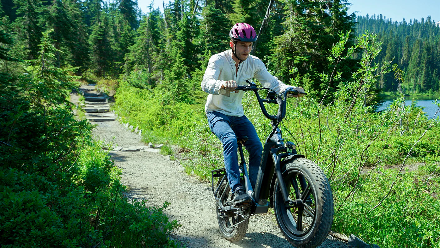 Mokwheel Scoria 20" x 4" Fat Tire Ebike 750 watt 48V19.6AH Samsung