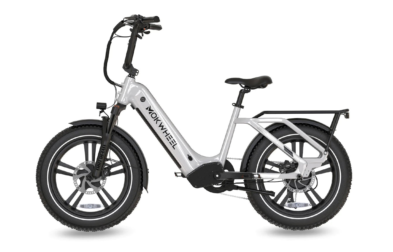 Mokwheel Scoria 20" x 4" Fat Tire Ebike 750 watt 48V19.6AH Samsung