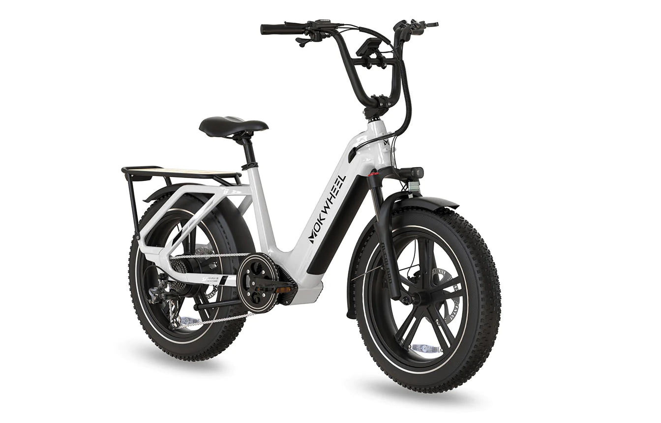 Mokwheel Scoria 20" x 4" Fat Tire Ebike 750 watt 48V19.6AH Samsung