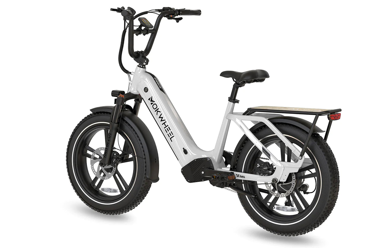 Mokwheel Scoria 20" x 4" Fat Tire Ebike 750 watt 48V19.6AH Samsung