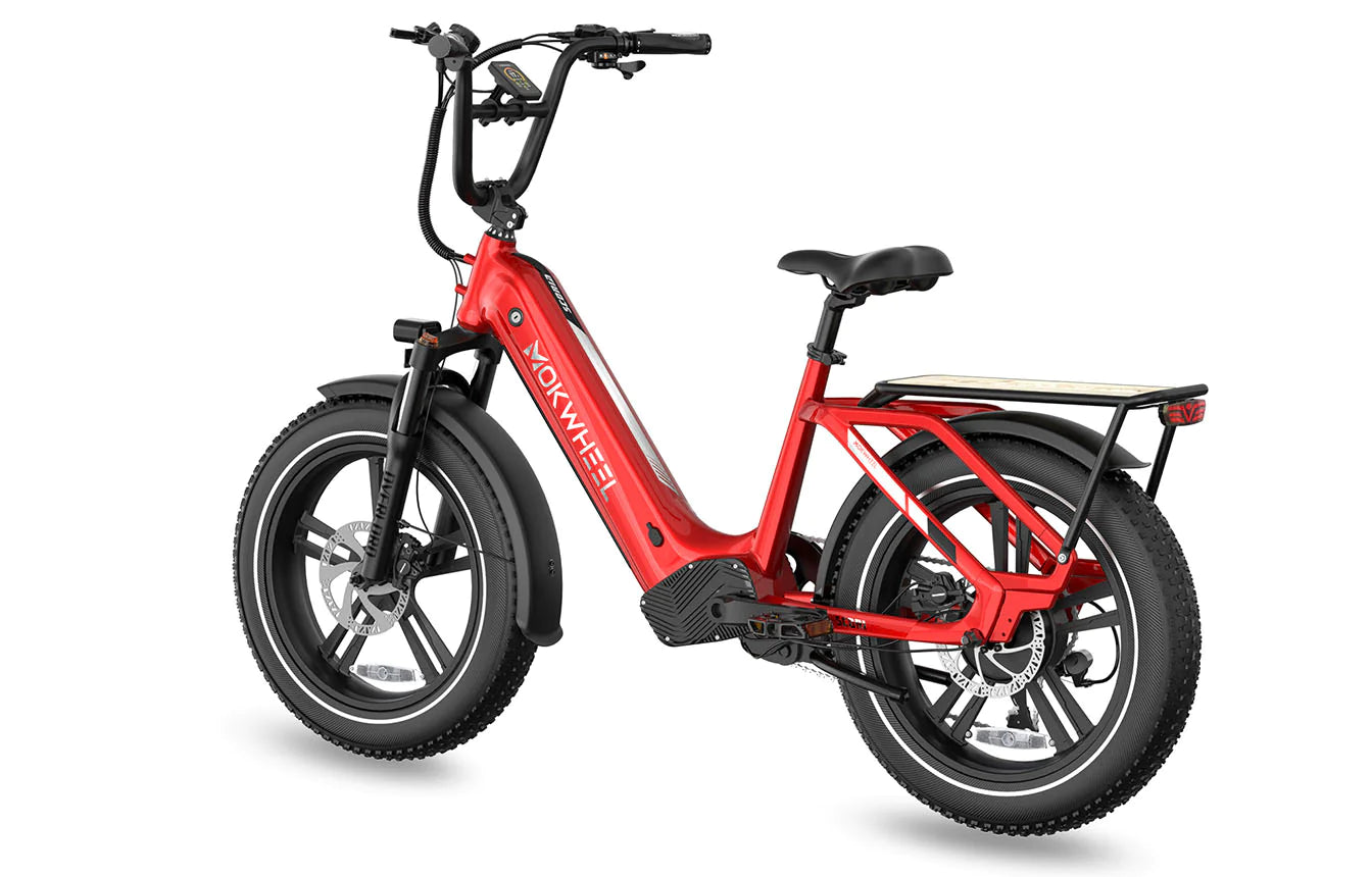 Mokwheel Scoria 20" x 4" Fat Tire Ebike 750 watt 48V19.6AH Samsung