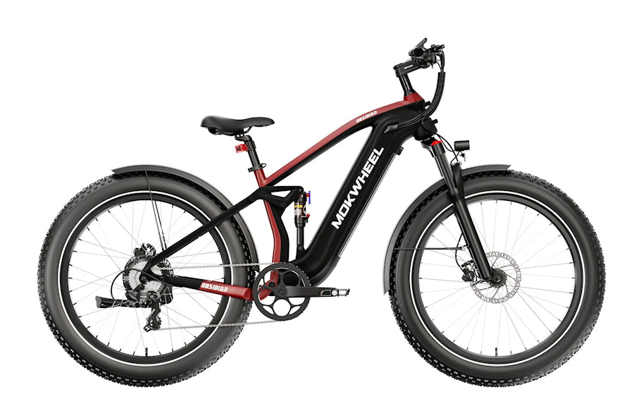 Mokwheel Obsidian Dual Suspension 48V19.6AH Samsung