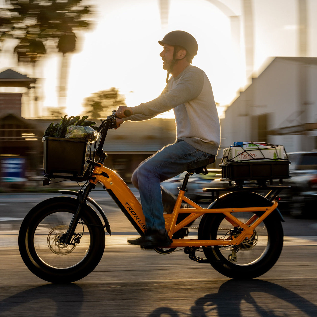 files/troxus_ebike_collection_thumbnail.jpg