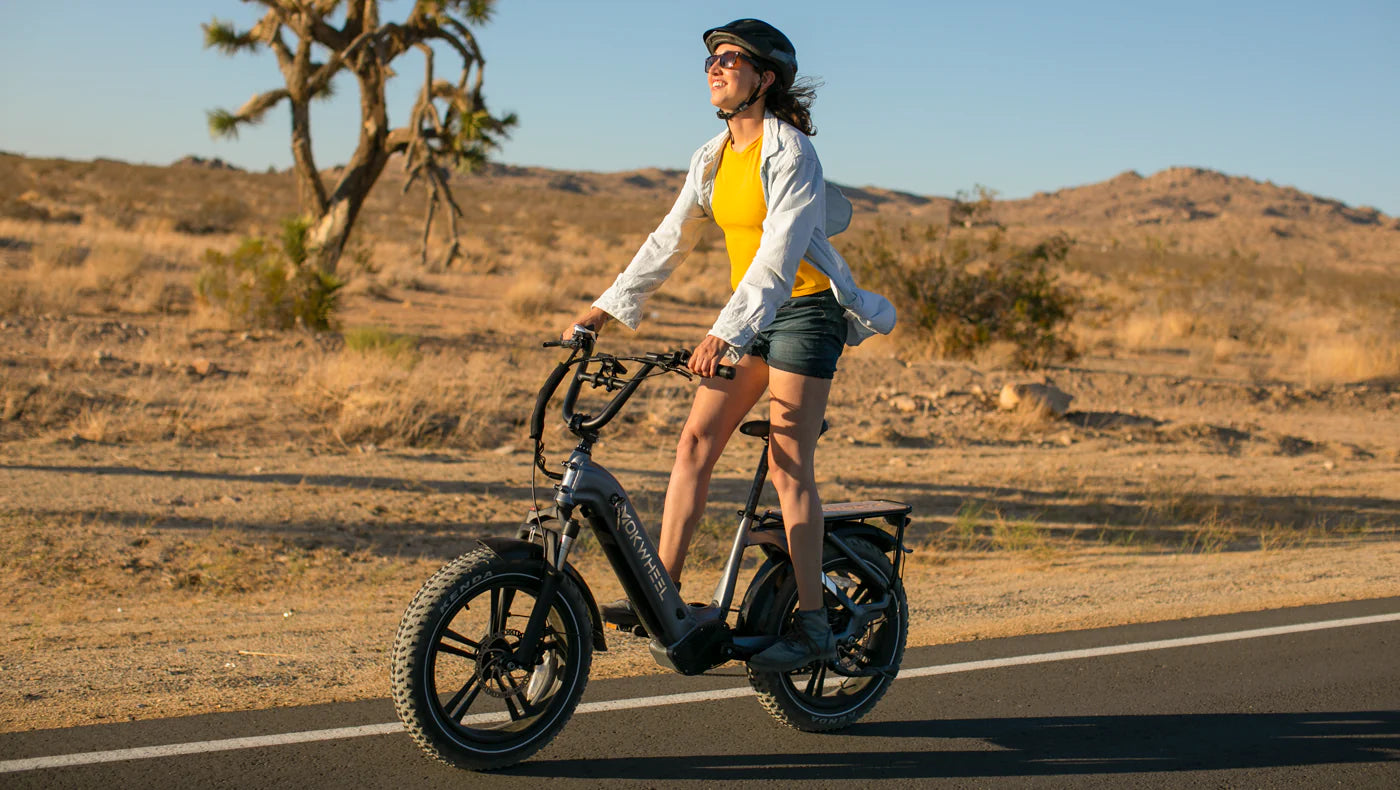 Mokwheel Scoria 20" x 4" Fat Tire Ebike 750 watt 48V19.6AH Samsung