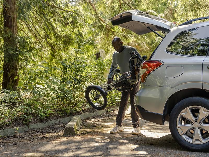 Rad Power Bikes RadTrike