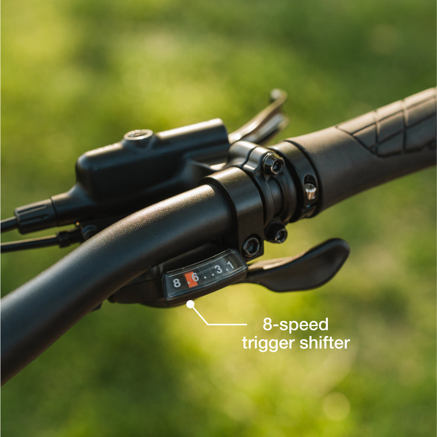 LECTRIC XP4 Step-Thru (750)
