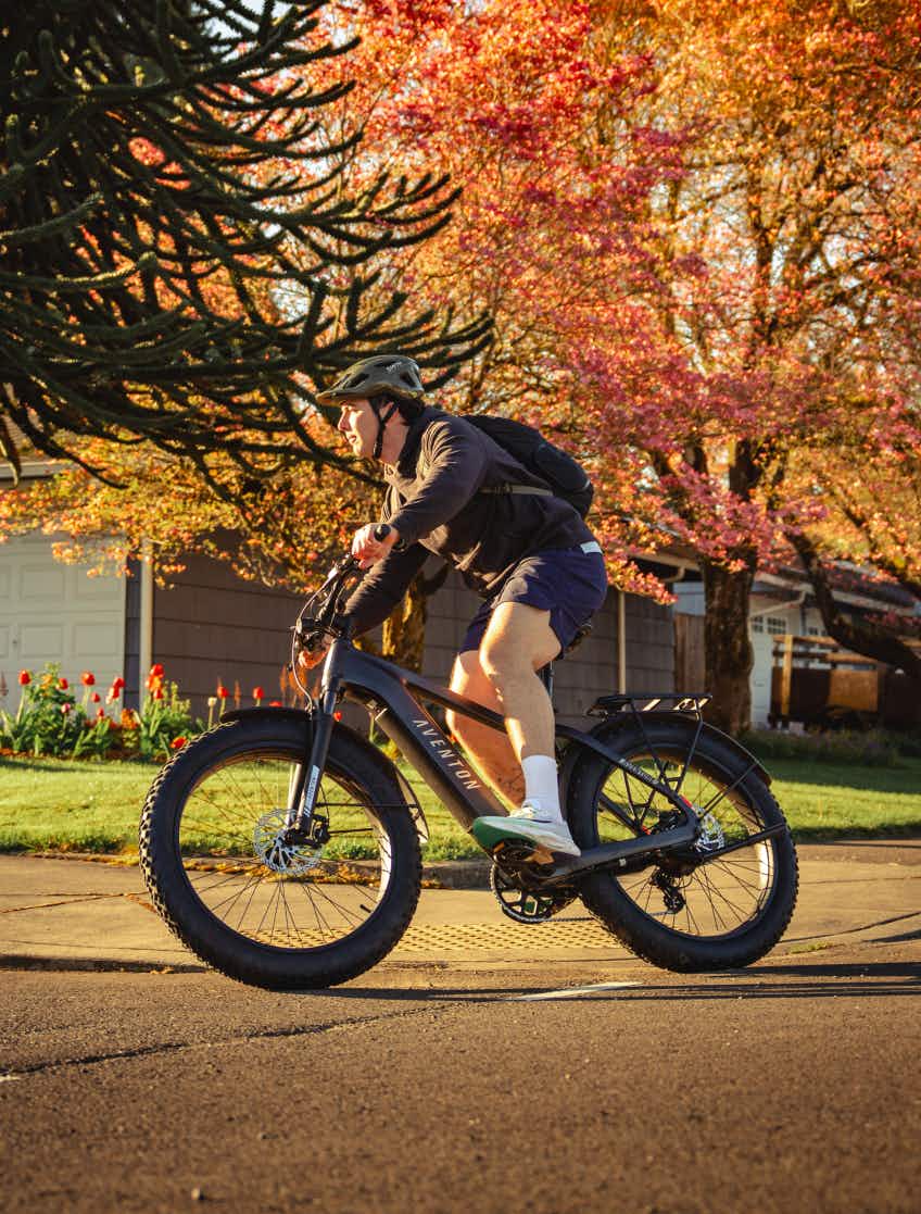 AVENTON Aventure 3 (Step-Through)