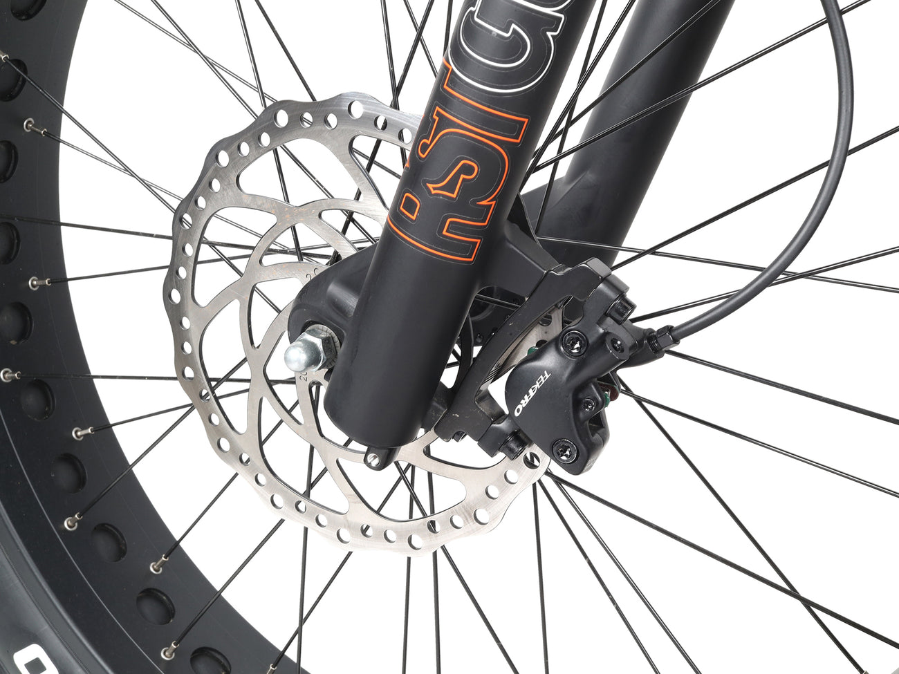 Troxus T-Rex Plus 26"