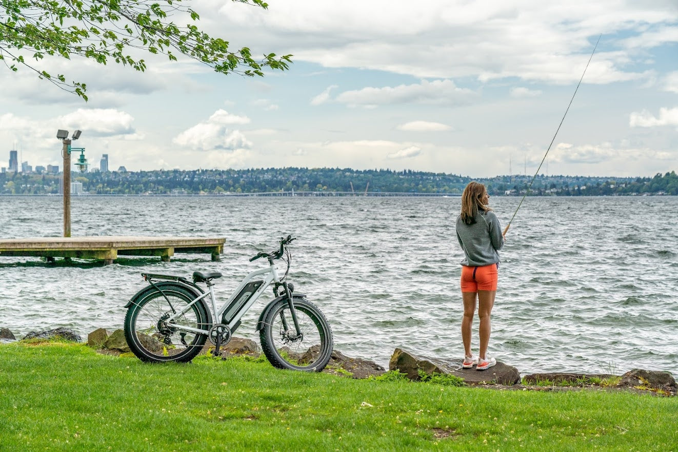 Himiway Cruiser Step-Thru 750 watt 48v 17.5ah Long Range Fat Tire ebike