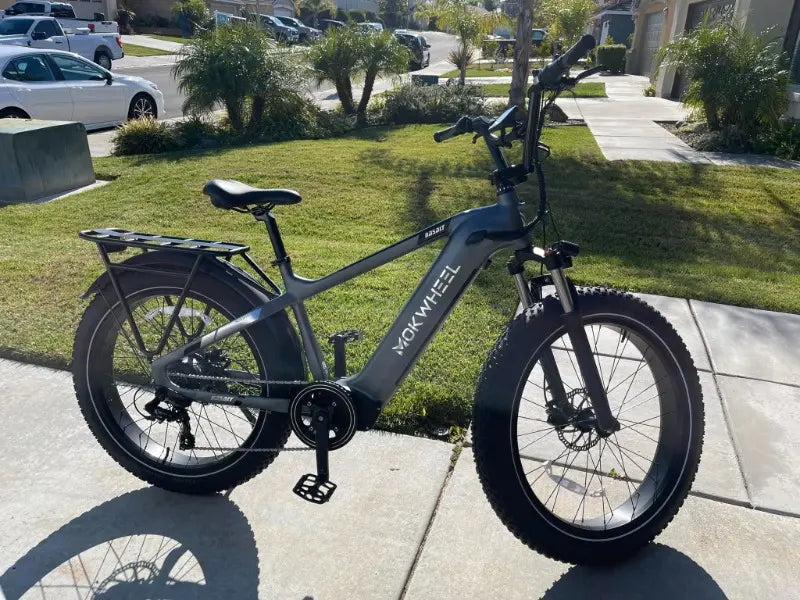 Mokwheel Basalt All-Terrain Ebike 750 watt 48V19.6AH Samsung