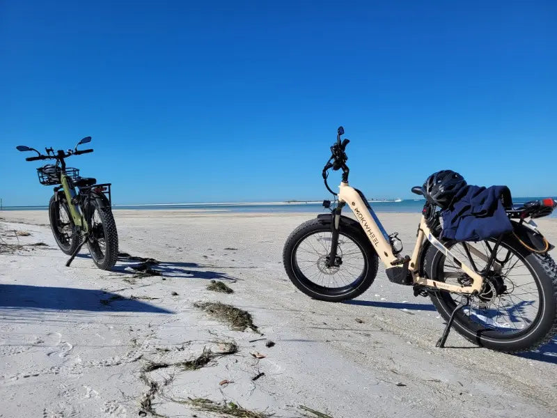 Mokwheel Basalt ST All-Terrain Ebike 750 watt 48V19.6AH Samsung