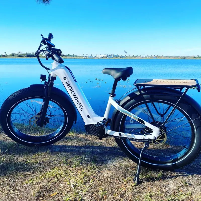 Mokwheel Basalt ST All-Terrain Ebike 750 watt 48V19.6AH Samsung