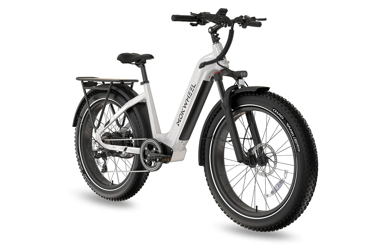 Mokwheel Basalt ST All-Terrain Ebike 750 watt 48V19.6AH Samsung