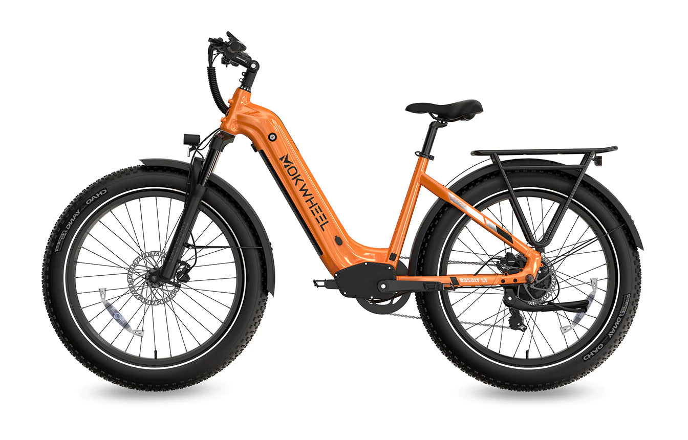 Mokwheel Basalt ST All-Terrain Ebike 750 watt 48V19.6AH Samsung