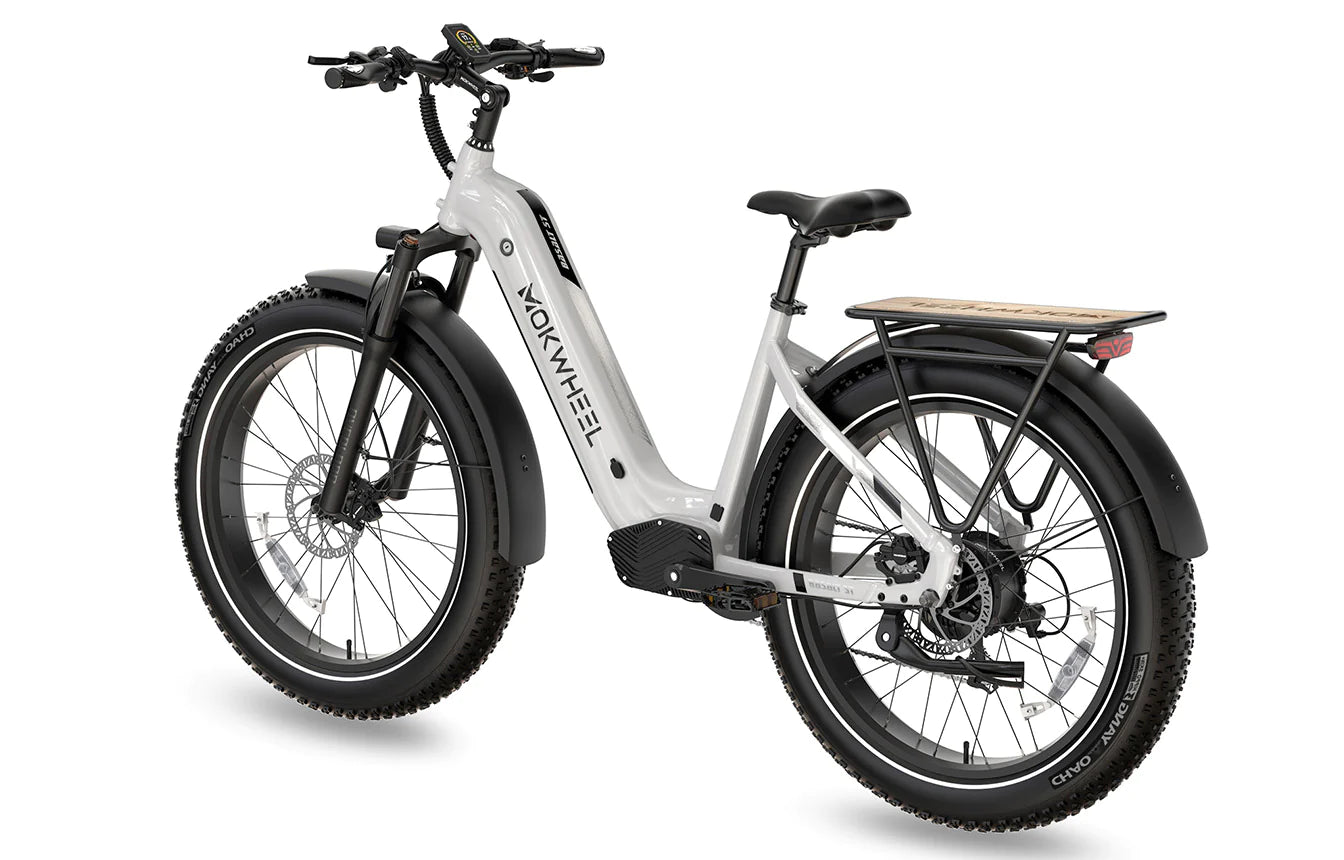 Mokwheel Basalt ST All-Terrain Ebike 750 watt 48V19.6AH Samsung
