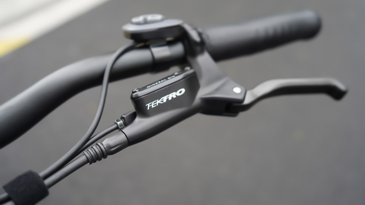 HIMIWAY ZEBRA STEP-THRU 750 watt 48v 20ah Long Range Fat Tire ebike