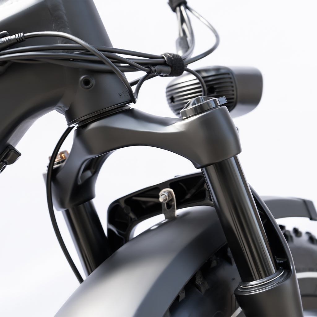 HIMIWAY ZEBRA 750 watt 48v 20ah Long Range Fat Tire ebike