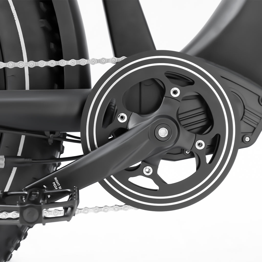 HIMIWAY ZEBRA 750 watt 48v 20ah Long Range Fat Tire ebike