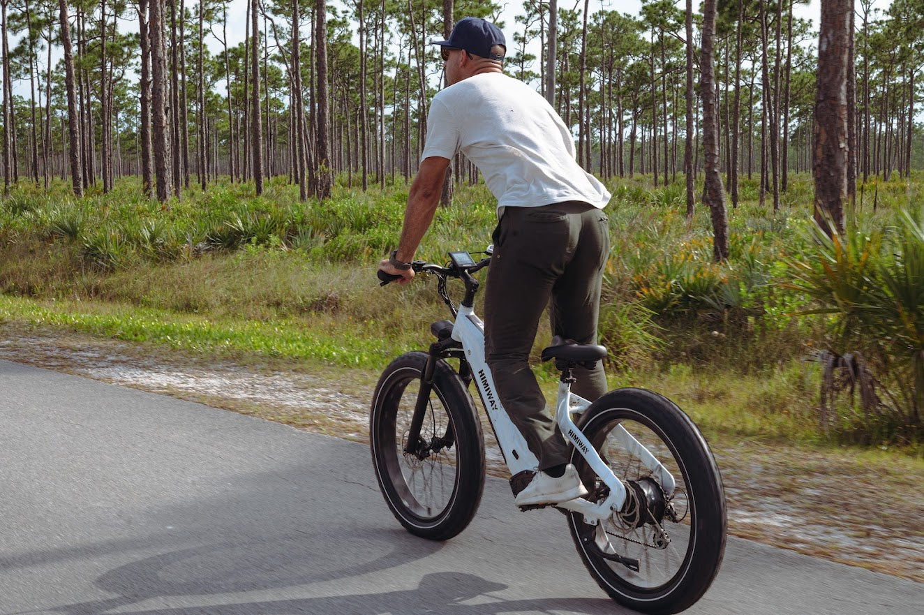 HIMIWAY ZEBRA STEP-THRU 750 watt 48v 20ah Long Range Fat Tire ebike