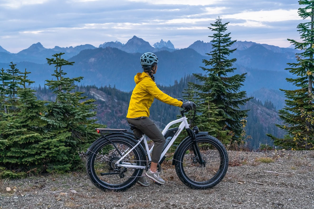 Himiway Cruiser Step-Thru 750 watt 48v 17.5ah Long Range Fat Tire ebike