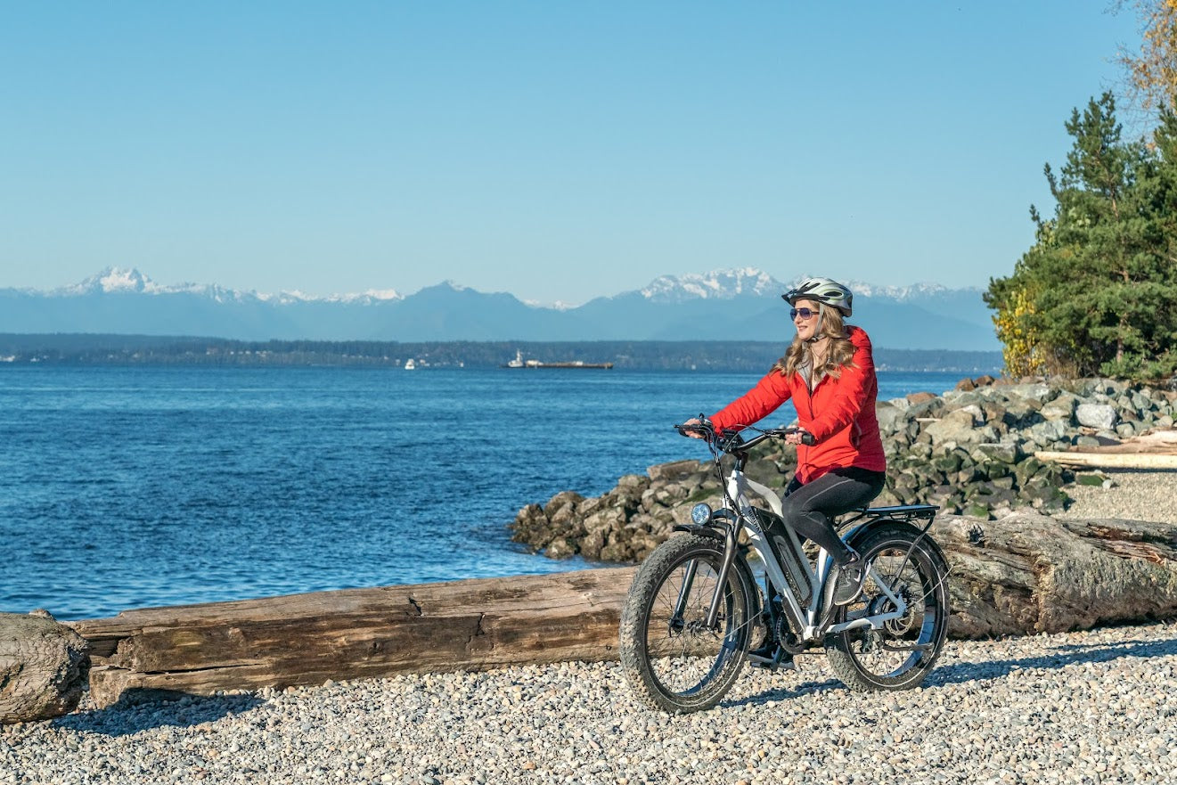 Himiway Cruiser Step-Thru 750 watt 48v 17.5ah Long Range Fat Tire ebike